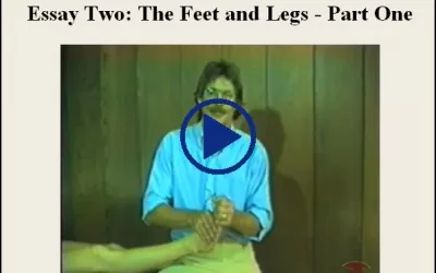 Essay Two The Feet And Legs Part One