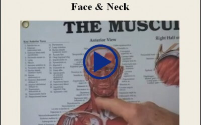 Resistance Release Work With Mike – Face