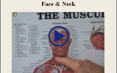 Resistance Release Work With Mike – Face