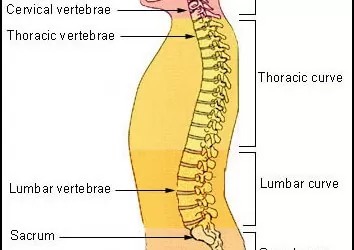 Spine clinic workshop December 12-13-2015
