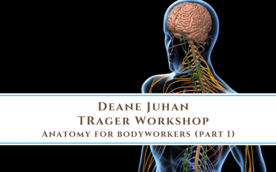 Deane Juhan Workshop: Anatomy for Bodyworkers Part 1