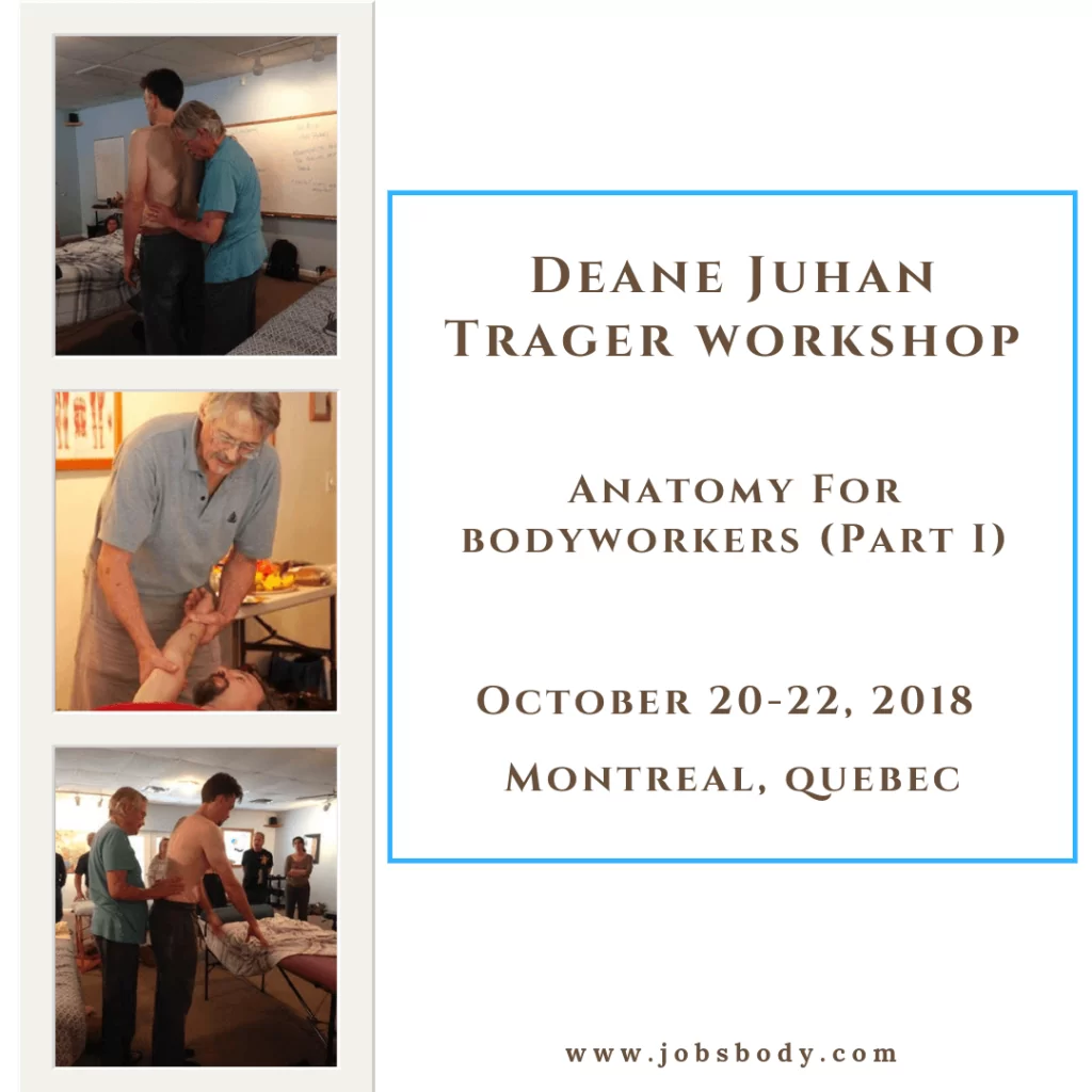 Anatomy for Bodyworkers Anatomy for Bodyworkers