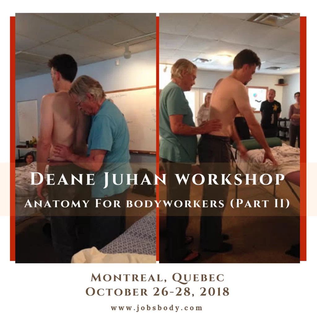 Anatomy for Bodyworkers