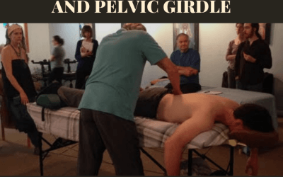 Workshop: Treating The Low Back and Pelvic Girdle