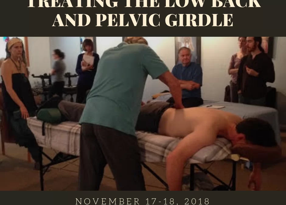 Workshop: Treating The Low Back and Pelvic Girdle
