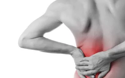 Treating the Pelvic Girdle and Low Back Workshop