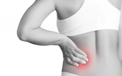 Treating the Pelvis and Low Back Workshop