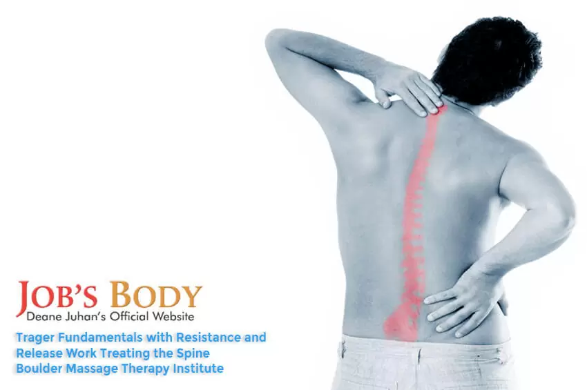 Treating the Spine
