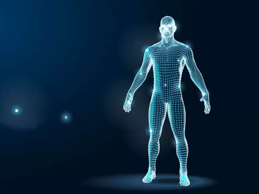 Webinars for Body workers with Deane Juhan - 3D image of a man.