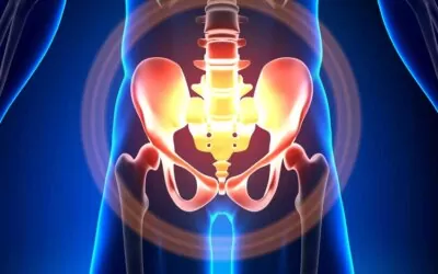 May 23 Somatic Movement Therapy Webinar: Pelvic Girdle