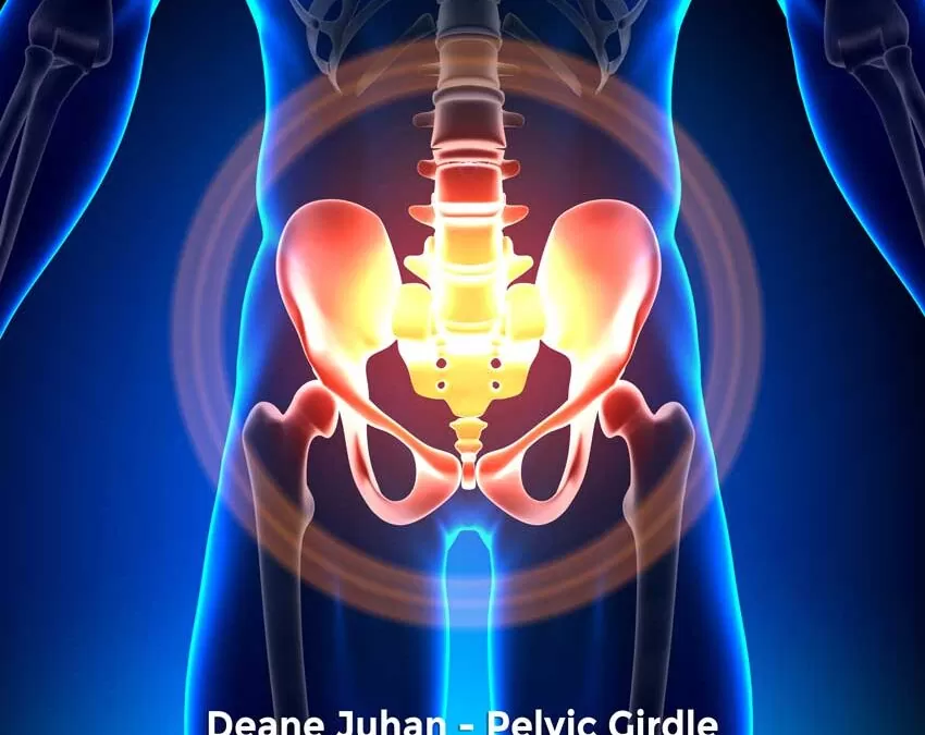 May 23 Somatic Movement Therapy Webinar: Pelvic Girdle