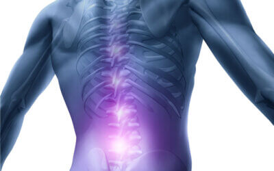 May 30 Webinar: Somatic Movement Therapy – Spine