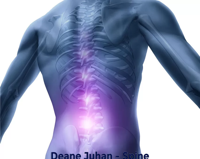 May 30 Webinar: Somatic Movement Therapy – Spine
