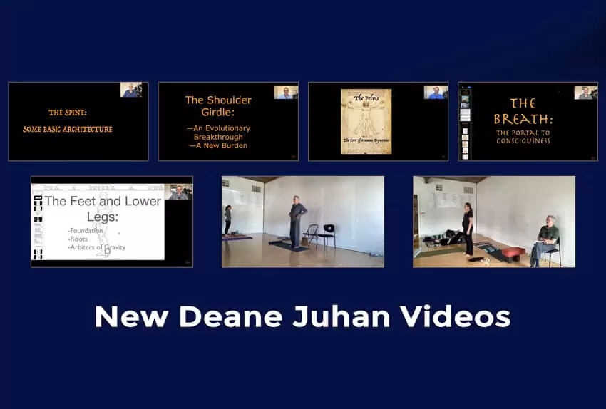 New Deane Juhan Videos with YogaKula