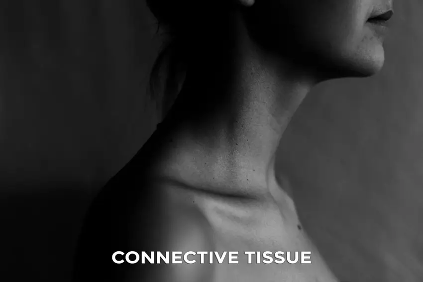 Deane Juhan - Connective Tissue - A woman's neck and texts.